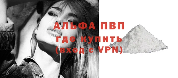СК Елабуга