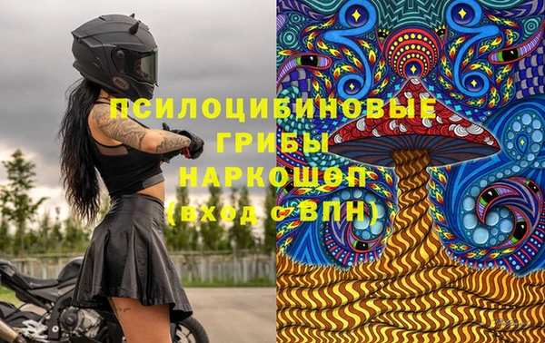 СК Елабуга