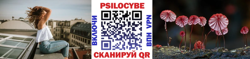 Псилоцибиновые грибы Psilocybine cubensis  Купить закладки  Нарткала 